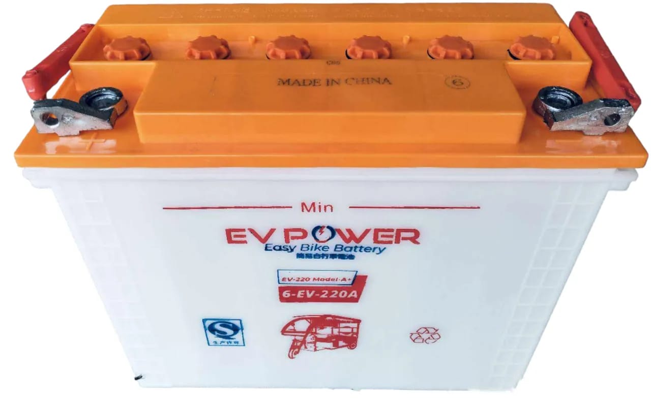 EV Power -220AH